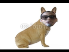 https://image.noelshack.com/fichiers/2012/34/1345807157-400-f-19571707-6gp19fatnftxqrjkbd9nffon8uysvcjs.jpg