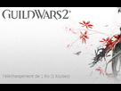 https://image.noelshack.com/fichiers/2012/34/1345904978-gw2maj.png