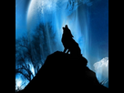 https://image.noelshack.com/fichiers/2012/35/1346069943-loup-hurlant-dans-la-nuit-bleu-734852.jpg