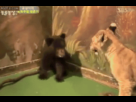 https://image.noelshack.com/fichiers/2012/35/1346106996-1344269851361.gif