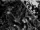 https://image.noelshack.com/fichiers/2012/35/1346108390-1340797771785.gif