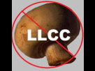 https://image.noelshack.com/fichiers/2012/35/1346179702-g-champignon.gif