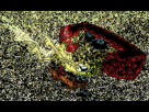 https://image.noelshack.com/fichiers/2012/35/1346284887-spongebob.gif