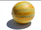 https://image.noelshack.com/fichiers/2012/35/1346317669-melon.jpg