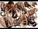 https://image.noelshack.com/fichiers/2012/35/1346343301-mammouths.jpg