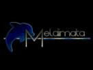 https://image.noelshack.com/fichiers/2012/35/1346438480-meldimata-logo-final.png