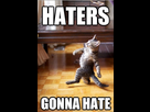 https://image.noelshack.com/fichiers/2012/35/1346602776-haters-gonna-hate-5.jpg