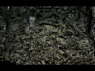 https://image.noelshack.com/fichiers/2012/36/1346666457-1346104363045.gif