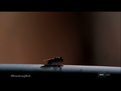 https://image.noelshack.com/fichiers/2012/36/1346781845-capture-du-2012-09-04-20-00-59.png