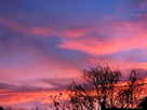 https://image.noelshack.com/fichiers/2012/36/1346873833-imagescat45ud1.jpg