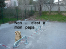 https://image.noelshack.com/fichiers/2012/36/1346951281-38841638-1.jpg