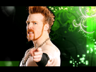 https://www.noelshack.com/2012-36-1347131491-sheamus-by-jeffhardyzgirl-d331x72.jpg