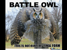 https://image.noelshack.com/fichiers/2012/37/1347301363-this-is-not-even-my-final-form.jpg