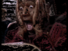 https://image.noelshack.com/fichiers/2012/37/1347368101-707554120905032521212464.gif