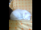 https://image.noelshack.com/fichiers/2012/37/1347376944-photos-004.jpg