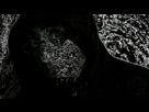 https://image.noelshack.com/fichiers/2012/37/1347378373-chuitrodark.gif
