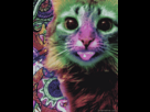 https://image.noelshack.com/fichiers/2012/38/1347858079-hypnocat.gif