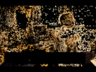 https://image.noelshack.com/fichiers/2012/38/1347972144-c23bee52a2be786b41cdf163585c758e.gif