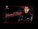 https://image.noelshack.com/fichiers/2012/38/1348066120-shane-mcmahon-loading-screen.jpg