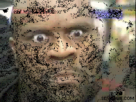 https://image.noelshack.com/fichiers/2012/38/1348262724-tenso.gif