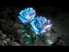 https://www.noelshack.com/2012-39-1348760523-blue-roses-death-note-by-moonlight-stroller.jpg