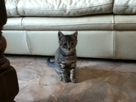 https://image.noelshack.com/fichiers/2012/39/1348933855-photo-046.jpg