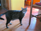 https://image.noelshack.com/fichiers/2012/39/1348935776-2012-0916photosgeorges0048.jpg