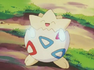 https://image.noelshack.com/fichiers/2012/39/1349025120-togepi.jpg