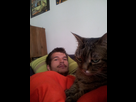 https://image.noelshack.com/fichiers/2012/40/1349199833-img-20120927-141723.jpg