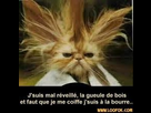 https://image.noelshack.com/fichiers/2012/40/1349202239-134913732447720.jpg