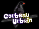 https://image.noelshack.com/fichiers/2012/40/1349205613-rang-corbeau-urbain.png