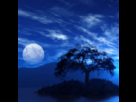 https://image.noelshack.com/fichiers/2012/40/1349451417-avatarsaphir1.png