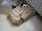 https://image.noelshack.com/fichiers/2012/40/1349528173-imgp0020.jpg