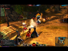 https://image.noelshack.com/fichiers/2012/40/1349542469-guild-wars-2-pc-1346167295-389.jpg
