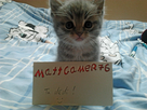 https://image.noelshack.com/fichiers/2012/40/1349603172-photo0245e001.jpg