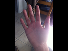 https://image.noelshack.com/fichiers/2012/41/1349868372-iphone-image-10-10-2012.jpg