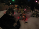 https://image.noelshack.com/fichiers/2012/41/1349922921-img-1665.jpg