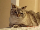 https://image.noelshack.com/fichiers/2012/41/1350156681-cimg7571.jpg