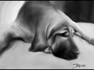 https://image.noelshack.com/fichiers/2012/42/1350344281-image.jpg