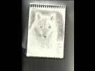 https://image.noelshack.com/fichiers/2012/42/1350505257-loup.jpg