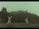 https://image.noelshack.com/fichiers/2012/42/1350564915-1346263405102.gif