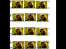 https://image.noelshack.com/fichiers/2012/42/1350831190-mdr.png