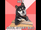https://image.noelshack.com/fichiers/2012/42/1350852277-cool-dog-hey-cool-story-bro41.jpg