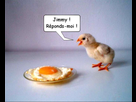 https://image.noelshack.com/fichiers/2012/43/1351097133-1.png