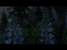 https://image.noelshack.com/fichiers/2012/43/1351269038-screenshot4.png