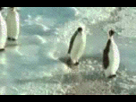https://image.noelshack.com/fichiers/2012/43/1351296452-20101127031101g.gif