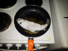 https://image.noelshack.com/fichiers/2012/43/1351375454-android-image-10-28-2012.jpg