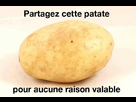 https://image.noelshack.com/fichiers/2012/44/1351520874-patate.jpg