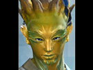 https://image.noelshack.com/fichiers/2012/44/1351524438-sylvari-pixel.png