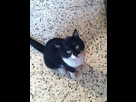 https://image.noelshack.com/fichiers/2012/44/1351527041-591.jpg